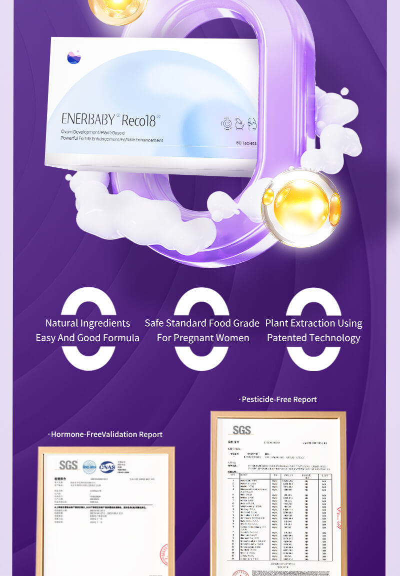 New ENERBABY Reco18