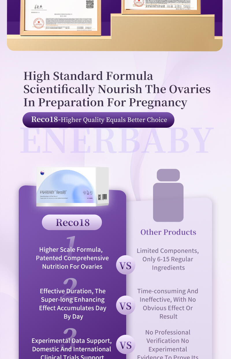 New ENERBABY Reco18