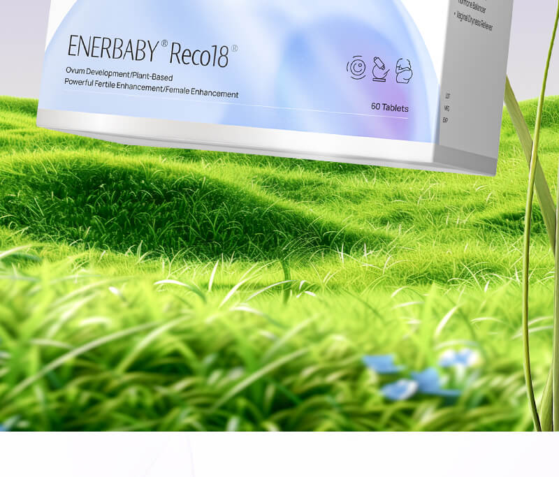 New ENERBABY Reco18
